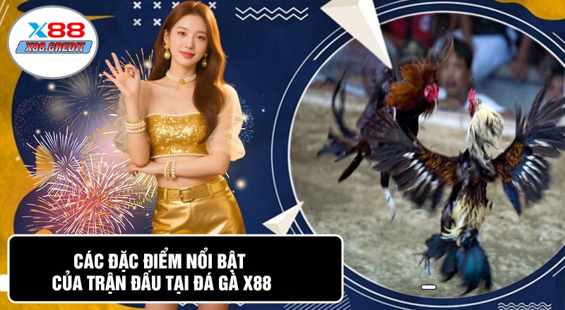 Các Đặc Điểm Nổi Bật Của Trận Đấu Tại Đá Gà X88