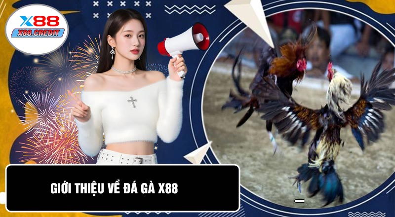 Giới Thiệu Về Đá Gà X88