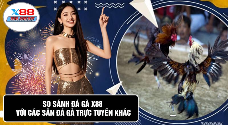 So Sánh Đá Gà X88 Với Các Sân Đá Gà Trực Tuyến Khác