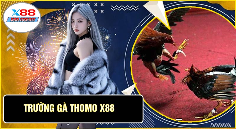 Trường Gà Thomo X88
